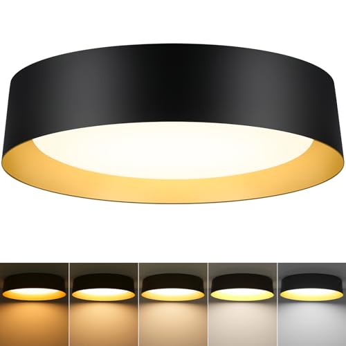 Flush Mount Ceiling Light
