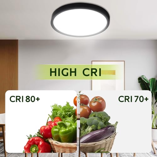 9 Inch Selectable CCT LED Round Flat Panel Light