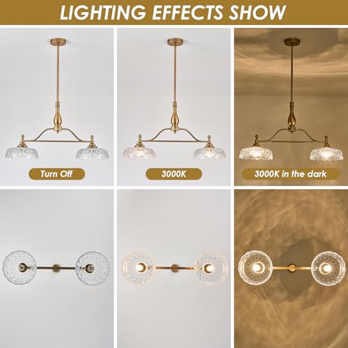 Chandeliers Pendant Light Fixture Vintage Pendant Lighting Fixtures 2 Lights Chandelier Matte Brass Kitchen Glass Hanging Lamp for Island Dining Room Living Room