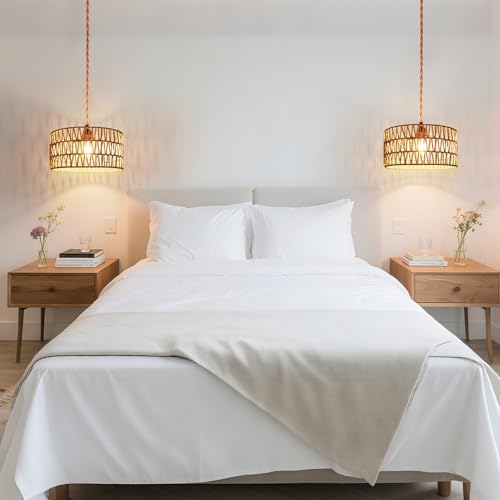 Hanging Light Boho Lamp Shades Small Lamp Shades for Table Lamps Vintage Rattan Lampshade for Hanging Lamp Wall Sconce Floor Lamp Woven LampShades for Living Room Decor Pendant Light