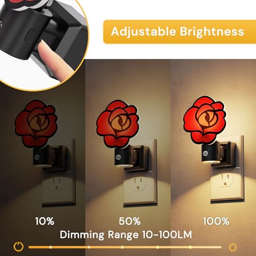 Night Lights Plug into Wall