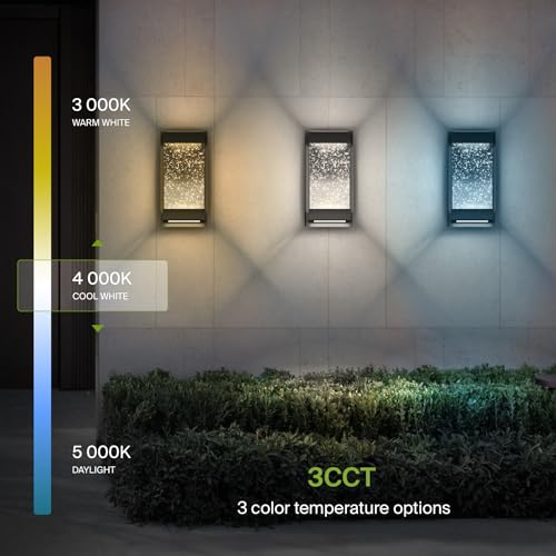 LED 12" Bubble Glass Wall Light Fixture