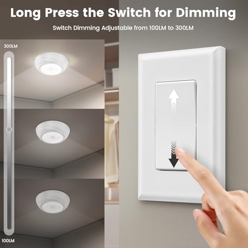 Battery Ceiling Light with Wall Switch Remote
