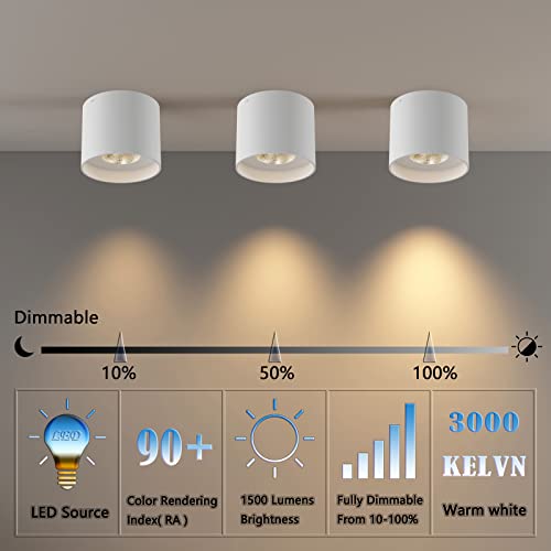 Ceiling Light Fixture (2 Count)