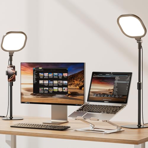 2 Packs Video Conference Lighting Kits (2 Count)