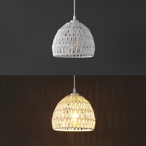 Campana 1 Light Pendant Dome Ceiling Lamp