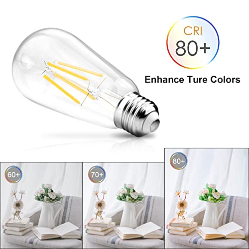 Dimmable Vintage LED Edison Bulbs (6 Count)