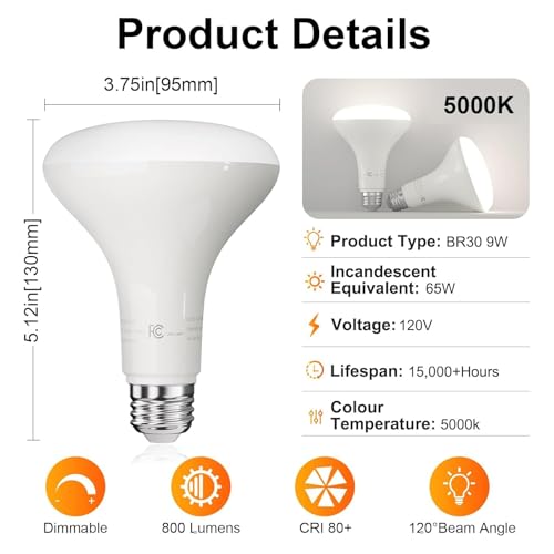6 Pack BR30 Flood Light Bulb Indoor (6 Count)