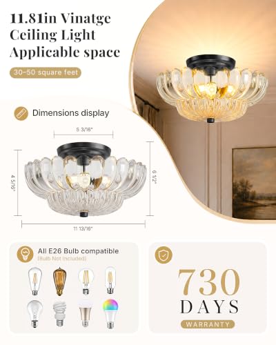 Semi Flush Mount Ceiling Light Fixture 11.8" Vinatge Black Ceiling Lights Mid Century Modern Clear Glass Close to Ceiling Lighting Fixtures for Bedroom Hallway Foyer Bathroom Kitchen Entryway