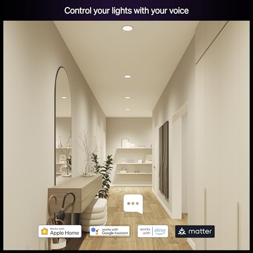 Essential Smart LED BR30 Bulb 1