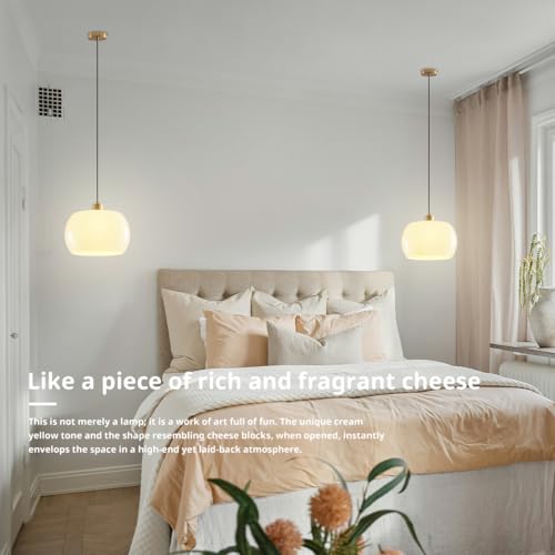 2 Pack 1 Light Dome Glass Pendant Lights