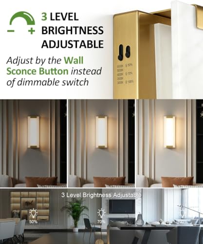 Hardwired Modern Gold LED Wall Sconce Indoor Wall Light Fixture