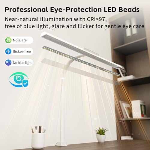 24W Desk Lamp with Clamp