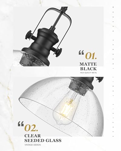 2 Pack Black Pendant Lights Kitchen Island (2 Count)