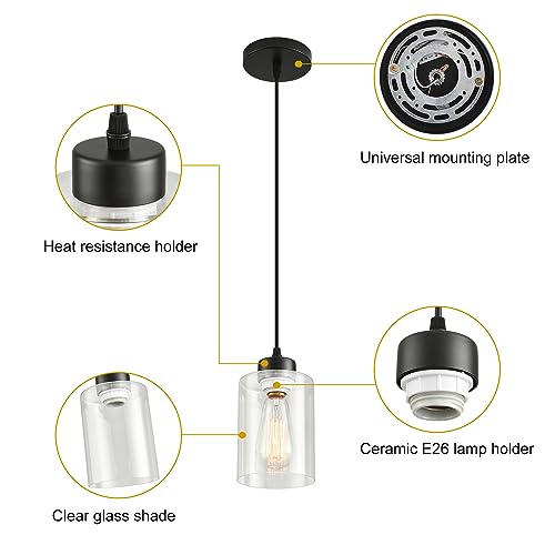 Modern Black Farmhouse Pendant Light with Glass Shade