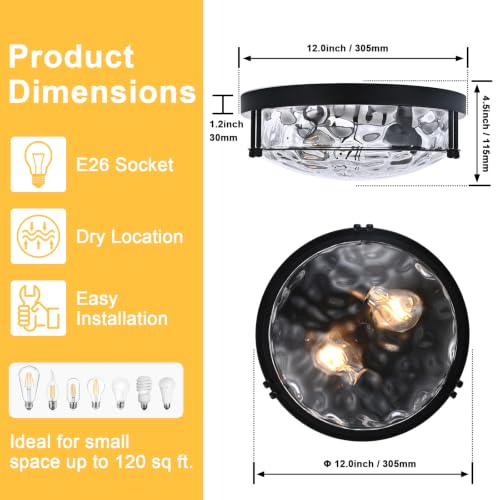 Black 2 Light Ceiling Light Fixture with Hammered Glass