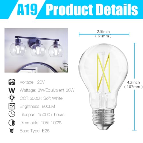 6 Pack A19 Vintage LED Edison Bulbs (6 Count)