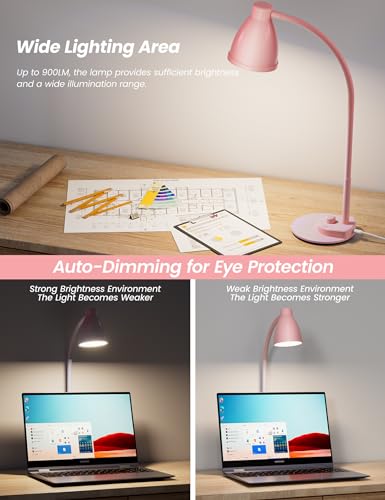 Cute Desk Lamp with USB Charging Port