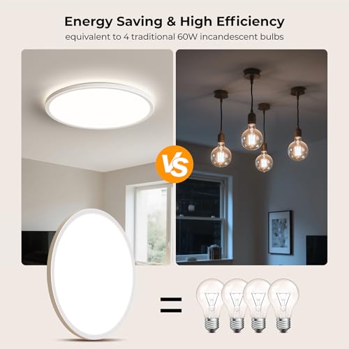 LED Flush Mount Ceiling Light Fixture with Remote Control (2 Count)