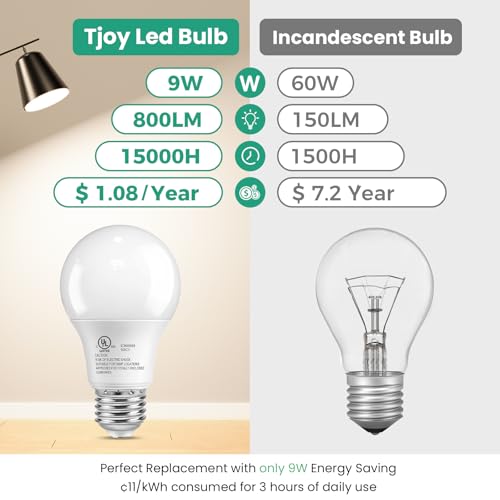 6 Pack A19 LED Light Bulbs (6 Count)