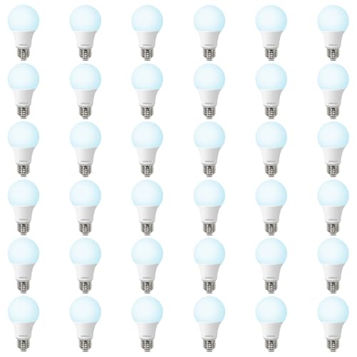 36 Pack A19 LED Light Bulbs 60W Equivalent (36 Count)