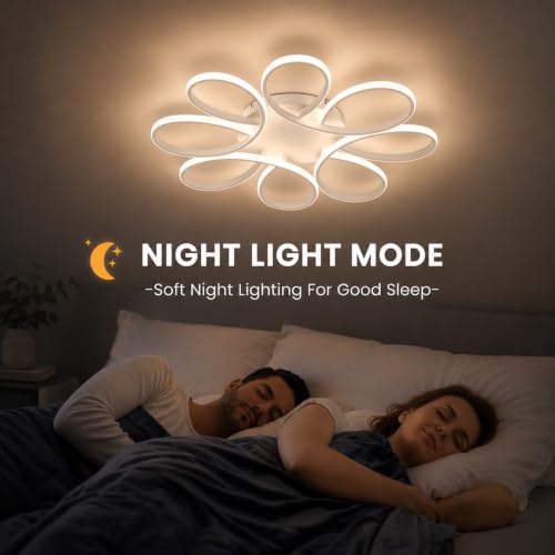 29.53 inch Modern LED Ceiling Light
