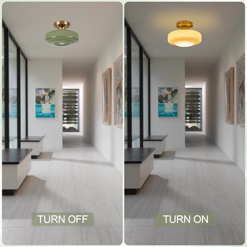 Modern Ceiling Light