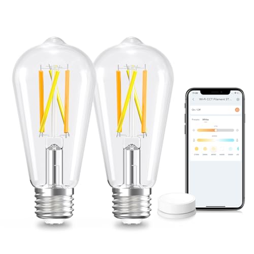 Smart Edison Light Bulb (2 Count)