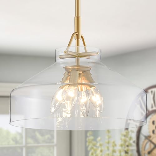 Chandelier Rustic Farmhouse Industrial Round Ceiling Pendant LED Light Fixture with Clear Glass Shades for Dining Room Kitchen Island Foyer Entryway