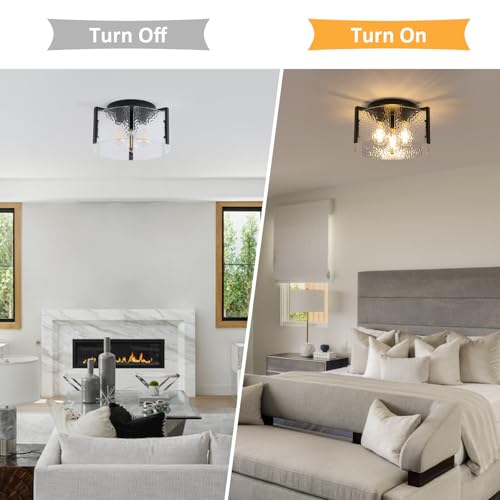 Black Flush Mount Ceiling Light Fixture