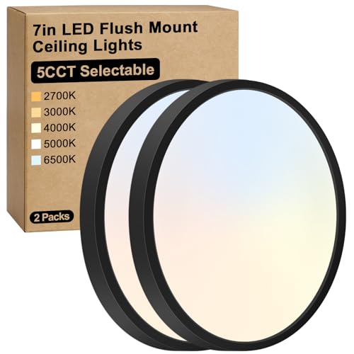 7 Inch LED Flush Mount Ceiling Light Fixture (2 Count)