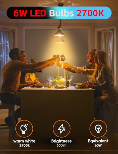 Edison Bulbs E26 LED Bulb 60 Watt Equivalent