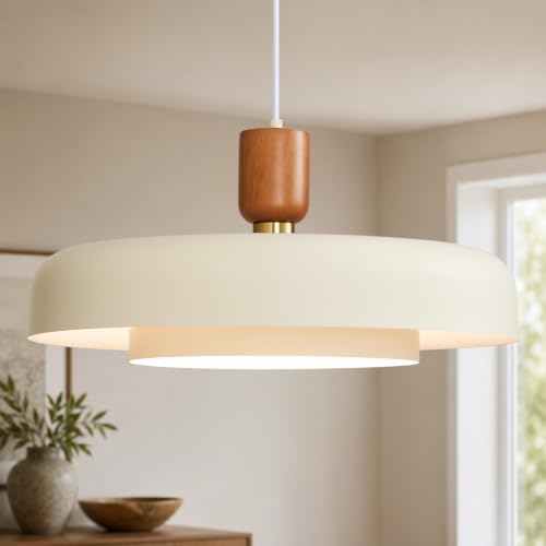 Mid Century Modern Pendant Light