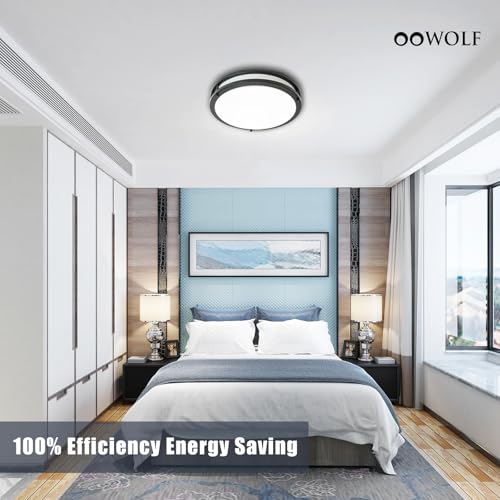 12inch LED Flush Mount Ceiling Light Fixture Dimmable Matte Black (2 Count)