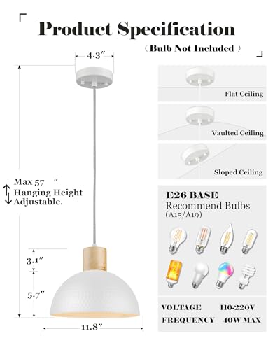12" Hammered Pendant Light