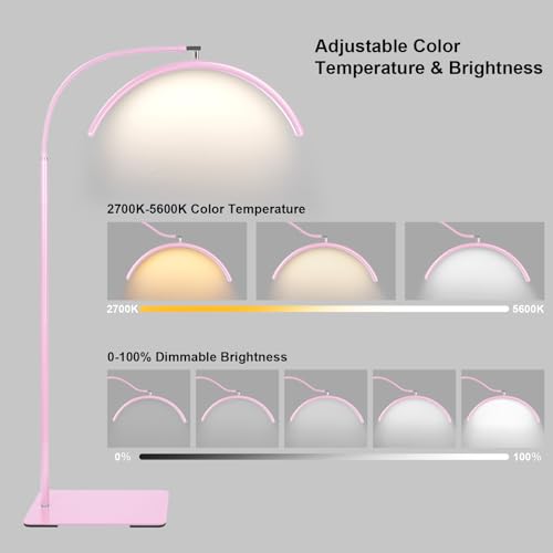 Half Moon LED Floor Light
