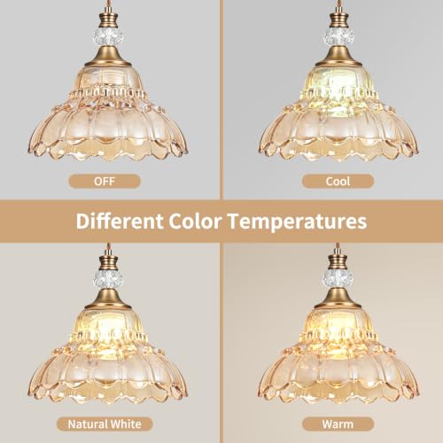 1 Piece Vintage Chandelier in Matte Antique Brass Finish with Amber Flower (1-Light / Antique Brass and Amber)