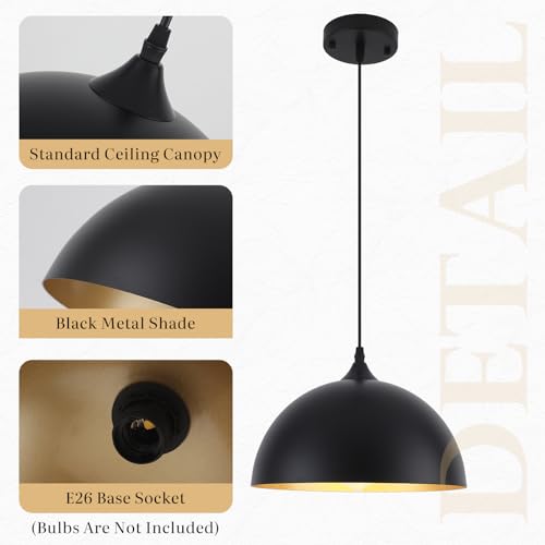 Black Pendant Light Fixtures