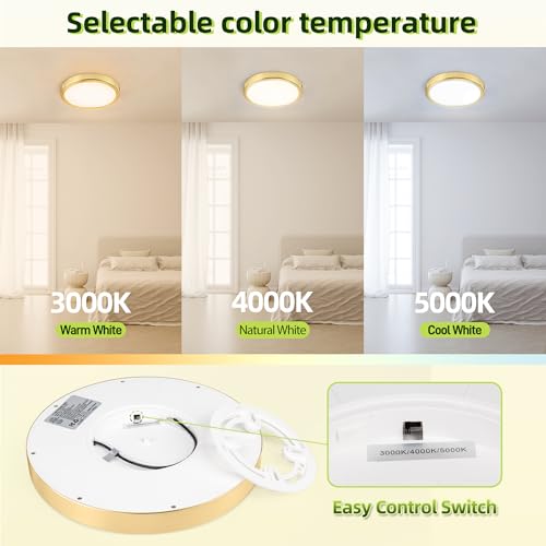 9 Inch Selectable CCT LED Round Flat Panel Light