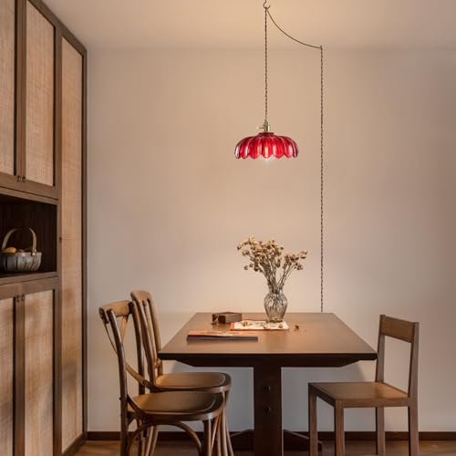 Plug in Pendant Light