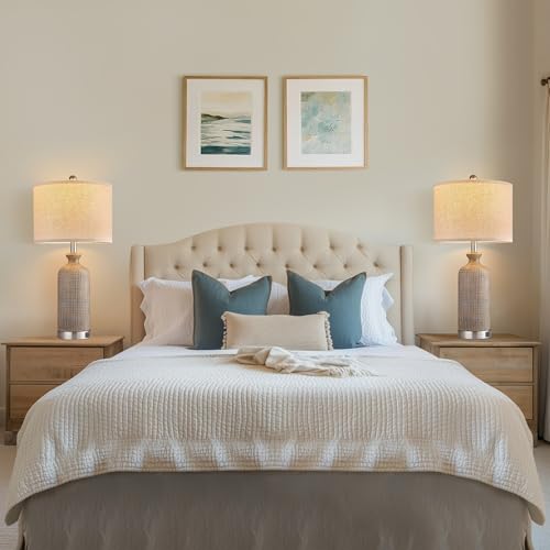 Living Room Lamps Set of 2 (2 Count)