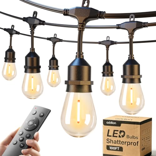 100FT Outdoor String Lights with Remote Dimmable Waterproof Patio (100 Foot)