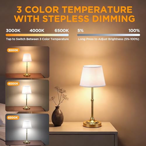 2 Pack Cordless Table Lamp (2 Count)