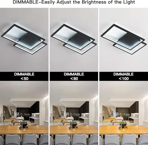 Modern Ceiling Light