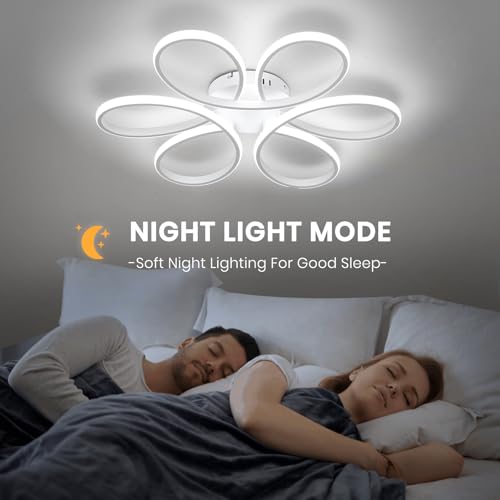 26inch Modern LED Ceiling Light