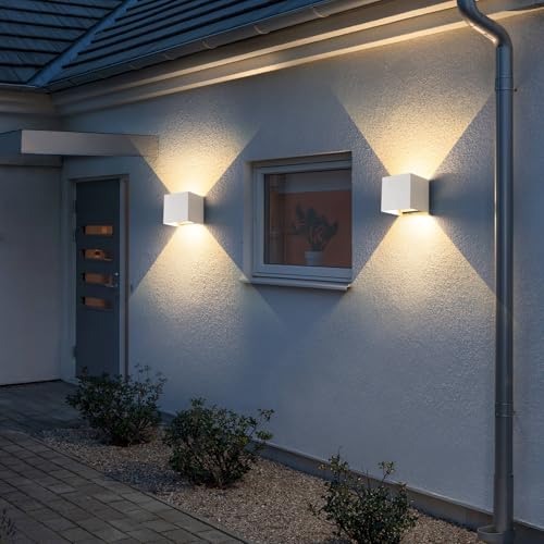 2 Pack LED 20W Outdoor Wall Lights Exterior (2 Count)