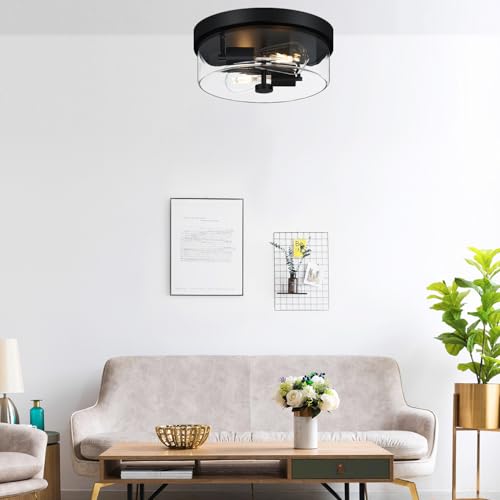 Flush Mount Ceiling Light Fixtures
