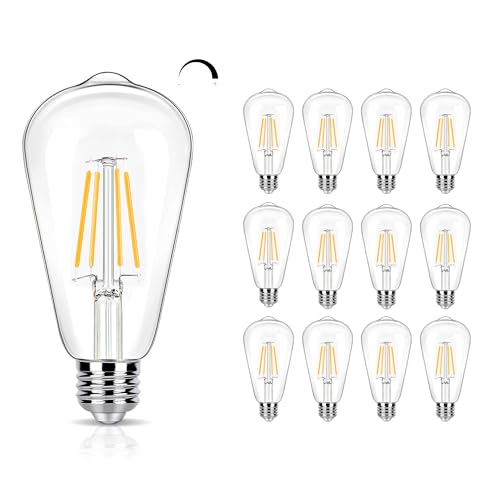12 Pack Dimmable LED Edison Bulbs 40W Equivalent (12 Count)