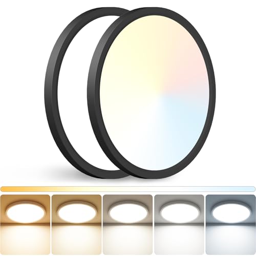 12 inch LED Ceiling Light (2 Count)