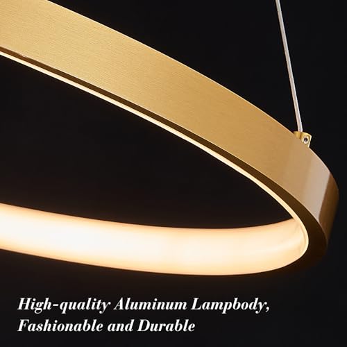 Gold LED Ring Chandeliers Modern 2